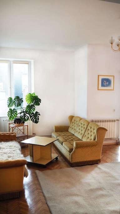 Central Rooms Przemyśl Kültér fotó